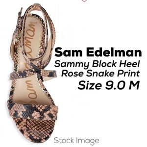 Sam Edelman Sammy Block Heel Sandal (Rose Snake)